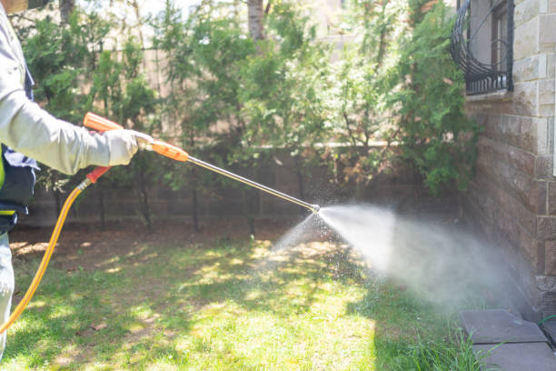 Wasp Removal Services in Petersburg, IN